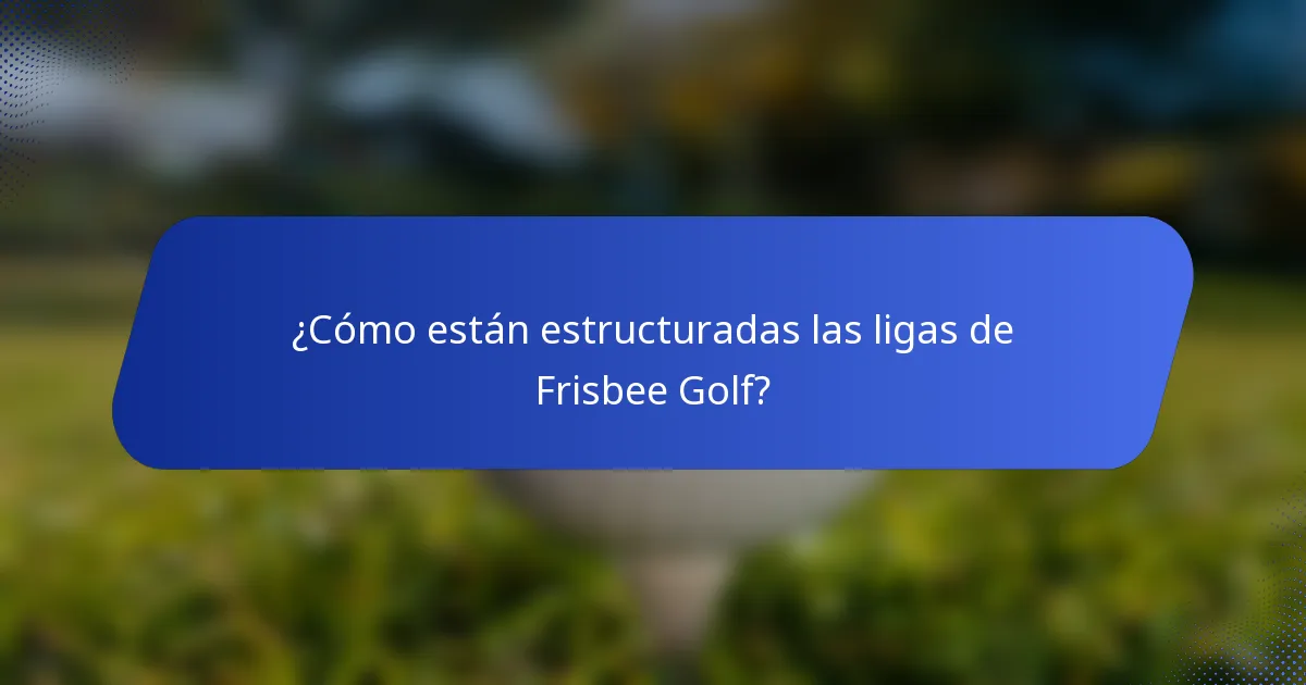 ¿Cómo están estructuradas las ligas de Frisbee Golf?